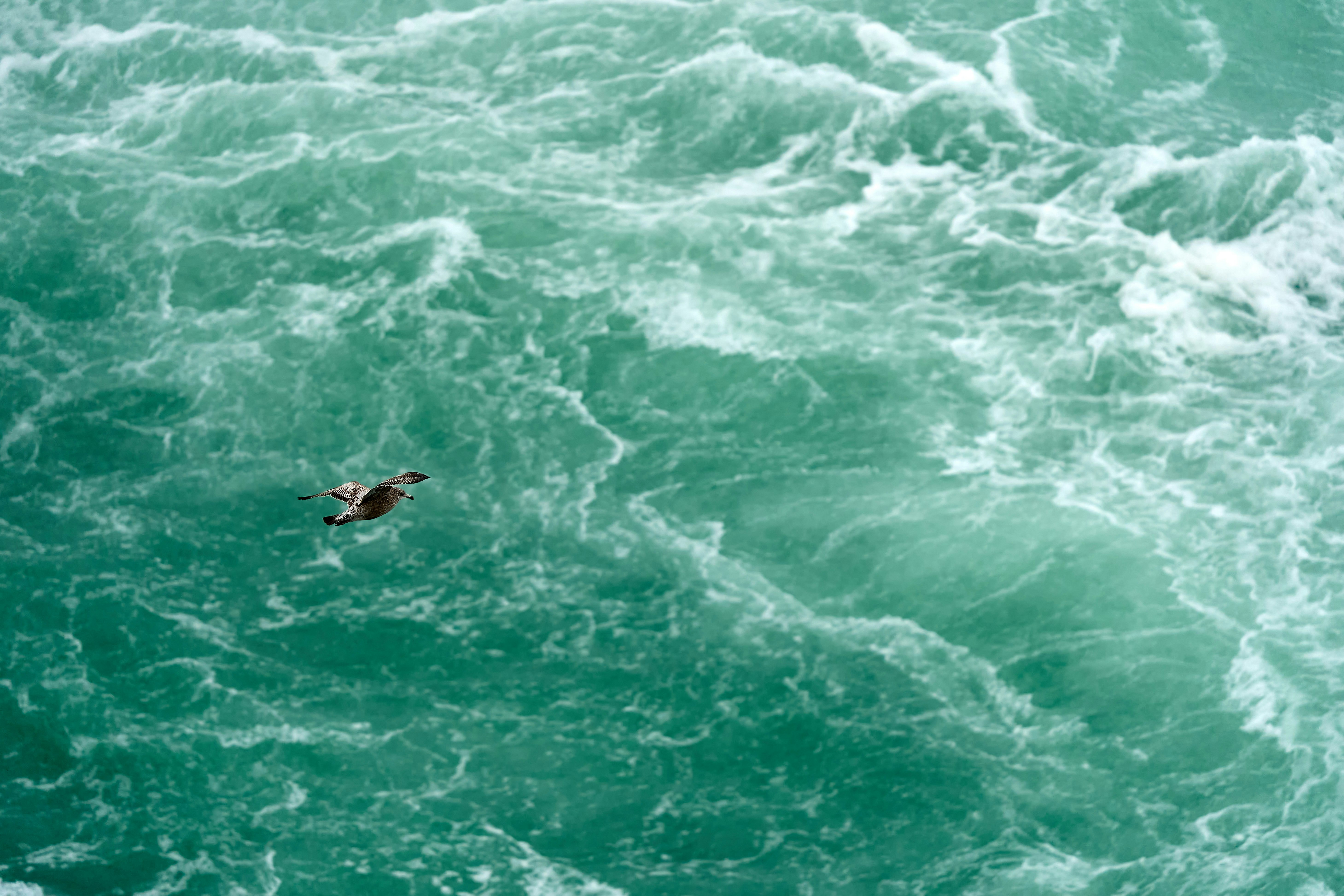 man surfing on blue sea during daytime